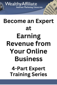 earning revenue from your online business